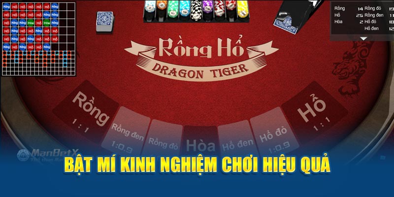 Bật mí kinh nghiệm hiệu quả