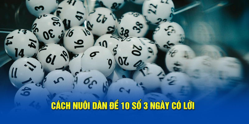 Cách nuôi dàn đề 10 số 3 ngày có lời