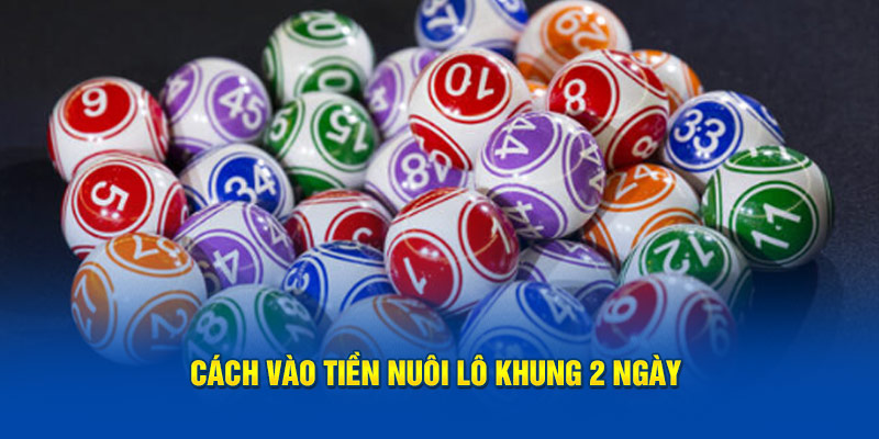 Cách nuôi lô khung 2 ngày