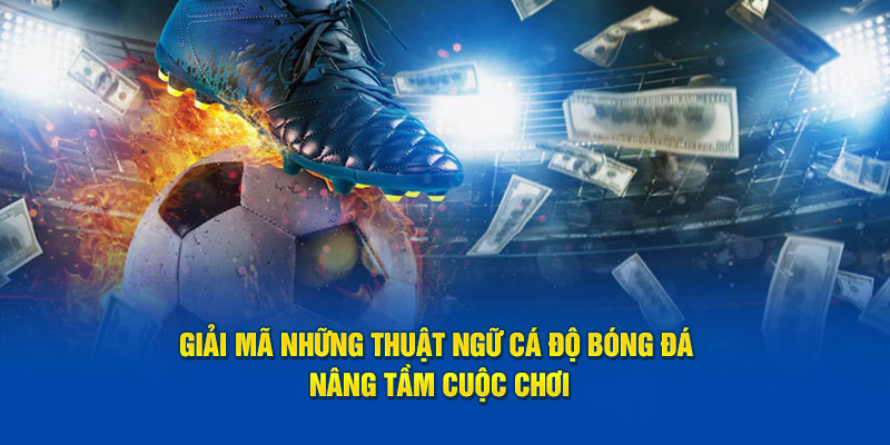 Các thuật ngữ cá độ bóng đá