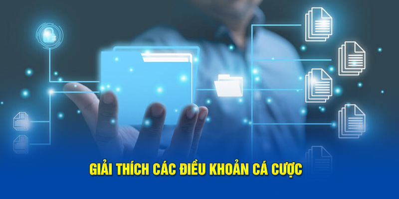 Các điều khoản cá cược