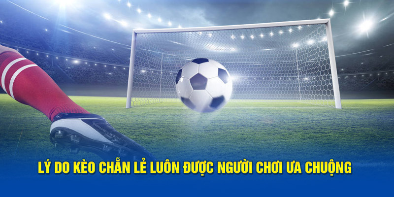Lý do kèo chẵn lẻ luôn được người chơi ưa chuộng