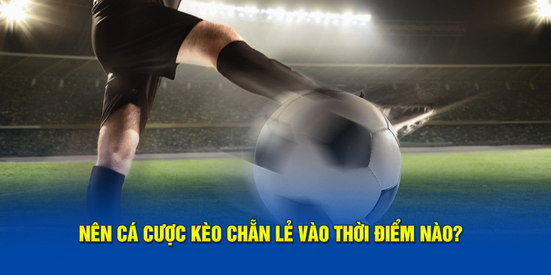 Nên cá cược kèo chẵn lẻ vào thời điểm nào?