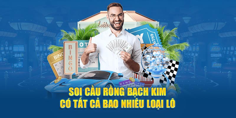Soi cầu Rồng Bạch Kim có tất cả bao nhiêu loại lô?