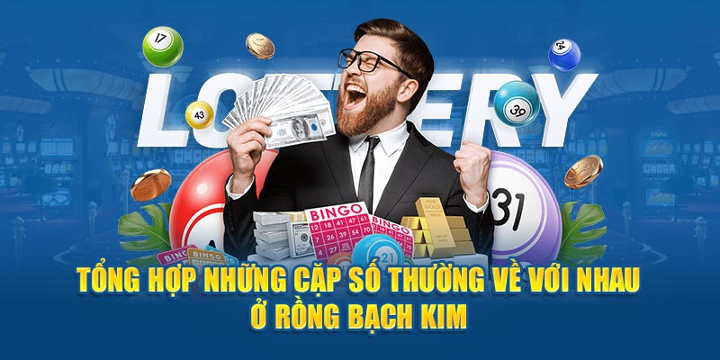 Tổng hợp những cặp số thường về với nhau ở Rồng Bạch Kim